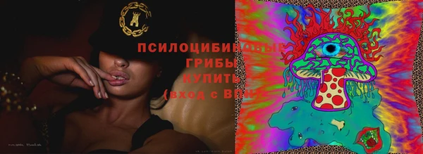 метамфетамин Гусев