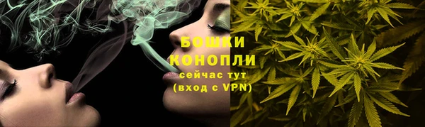 сатива Гусиноозёрск