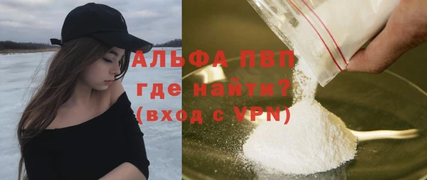 сатива Гусиноозёрск