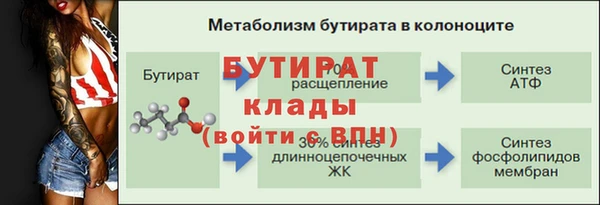 сатива Гусиноозёрск