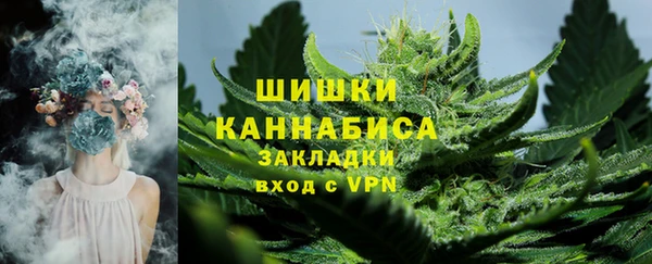 сатива Гусиноозёрск