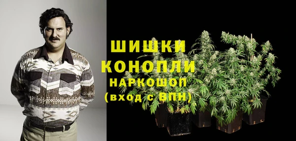 сатива Гусиноозёрск