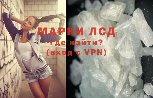 сатива Гусиноозёрск